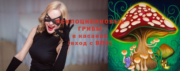 мяу мяу кристалл Медвежьегорск