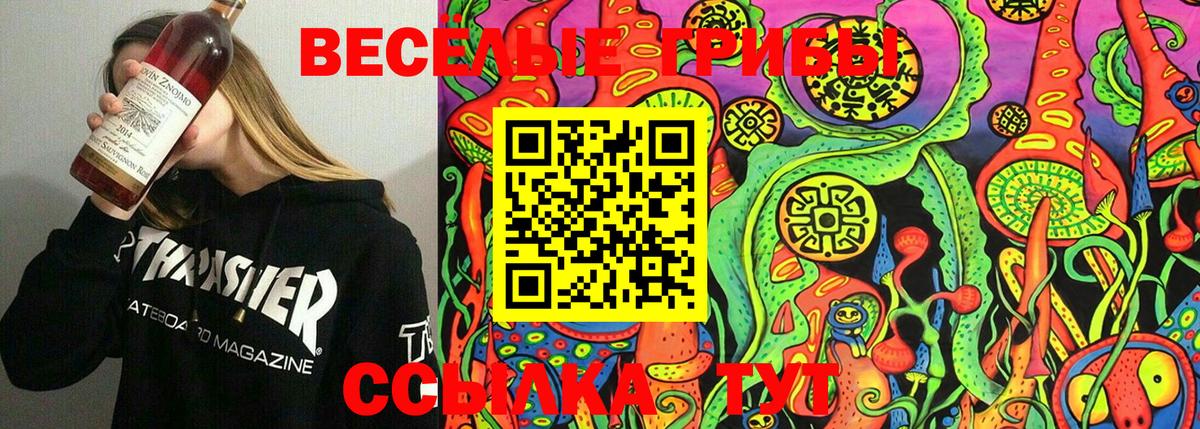 Галлюциногенные грибы мицелий  Омск  купить наркотики цена  Галлюциногенные грибы MAGIC MUSHROOMS 