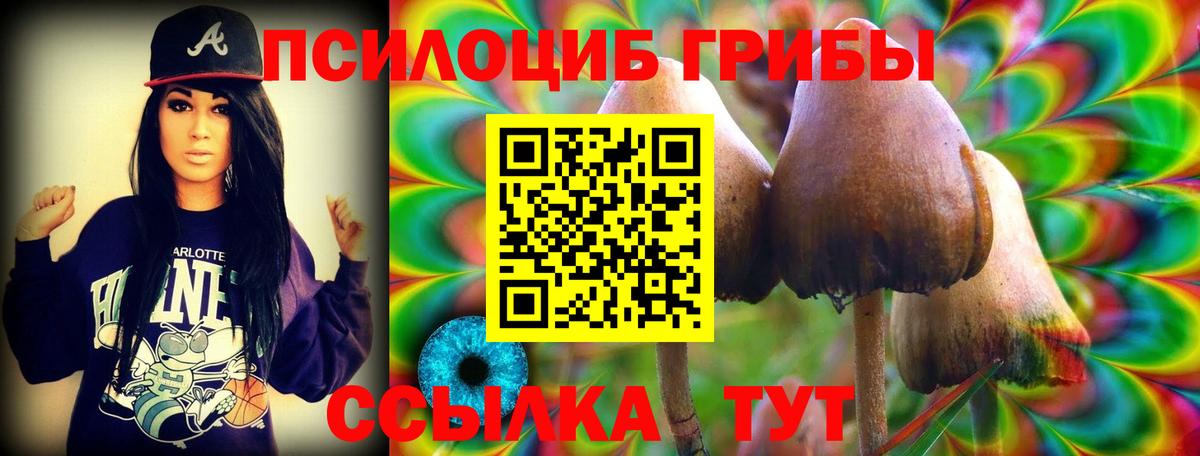 Галлюциногенные грибы Psilocybine cubensis Омск