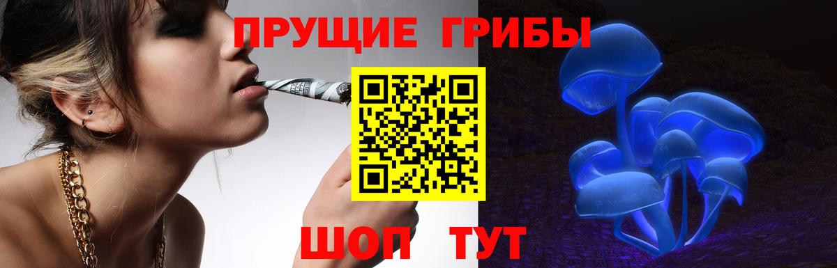 Омск  Псилоцибиновые грибы Magic Shrooms  закладки  Вход с VPN  Псилоцибиновые грибы Cubensis 
